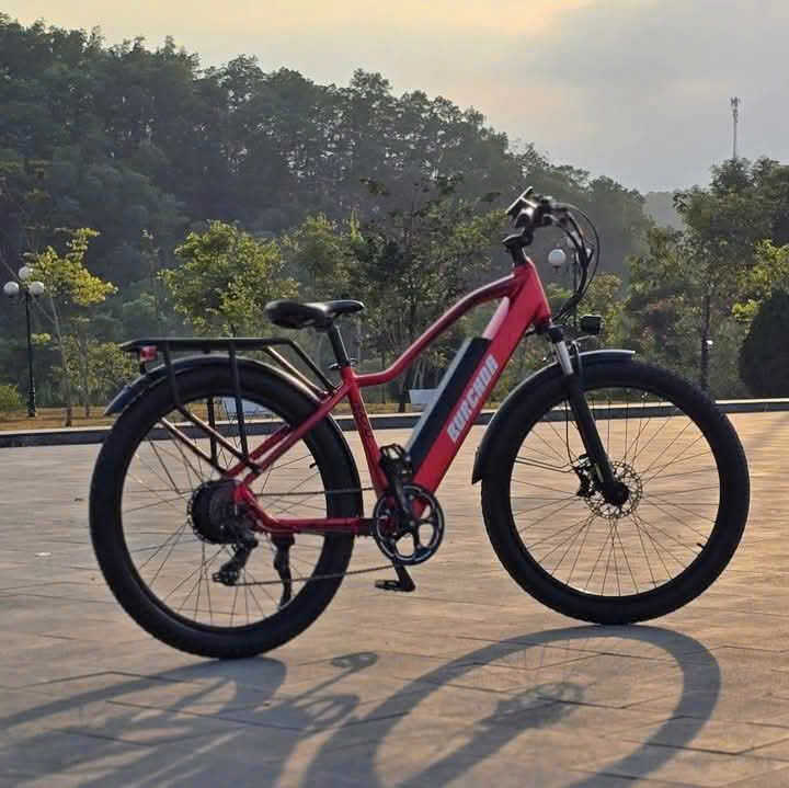 Xe đạp trợ lực điện xuống cấp nhanh: Lỗi không nằm ở xe, mà ở thói quen sử dụng