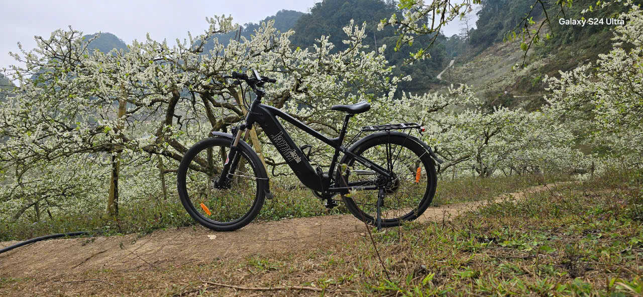 Có nên mua xe đạp trợ lực điện không? 5 điều bạn cần biết trước khi xuống tiền