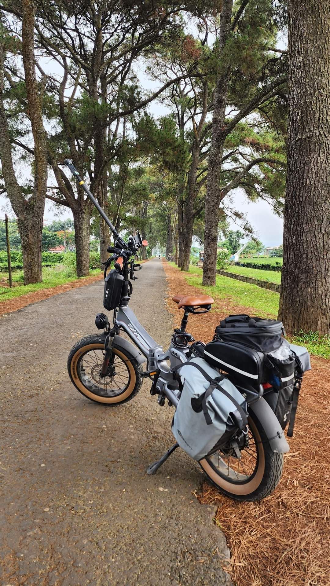 Đạp xe trợ lực buổi sáng có tốt không? Lợi ích bất ngờ cho sức khỏe và tinh thần