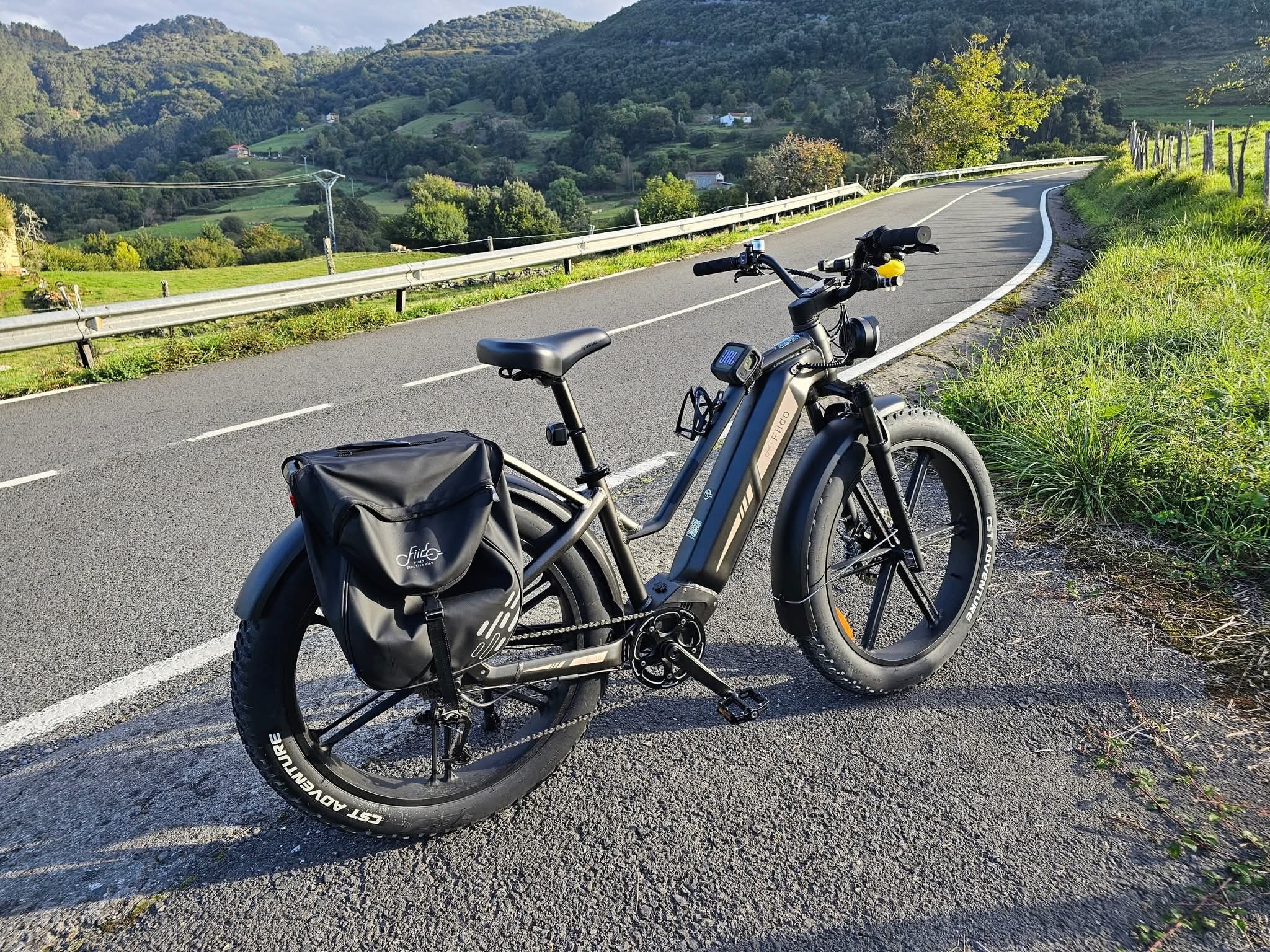 Xe đạp trợ lực điện có cần bằng lái? Giải đáp chi tiết cho người dùng