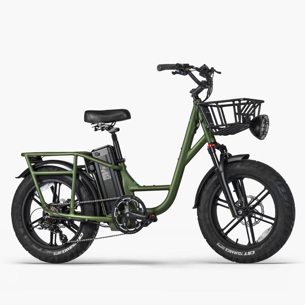 xe đạp trợ lực