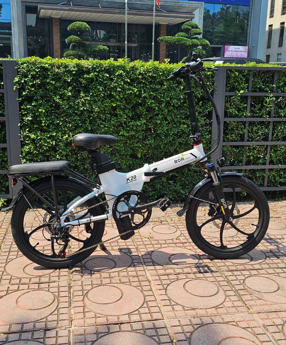 Ảnh minh họa xe đạp trợ lực